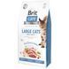 Корм сухий Brit Care Cat Grain Free Large Power Vitality для дорослих котів великих порід з качкою та куркою 7 кг 1111162372 фото 1