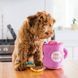 М'яка іграшка для собак кави та пончик ZippyPaws Zippy Burrow Coffee and Donutz з пищалкою 28463 фото 7