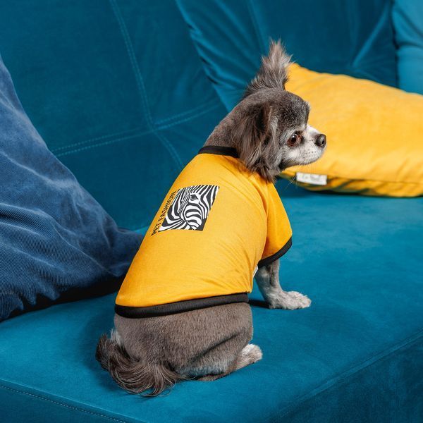 Футболка Pet Fashion Jessica для собак бавовна трикотаж жовта S 1111195194 фото
