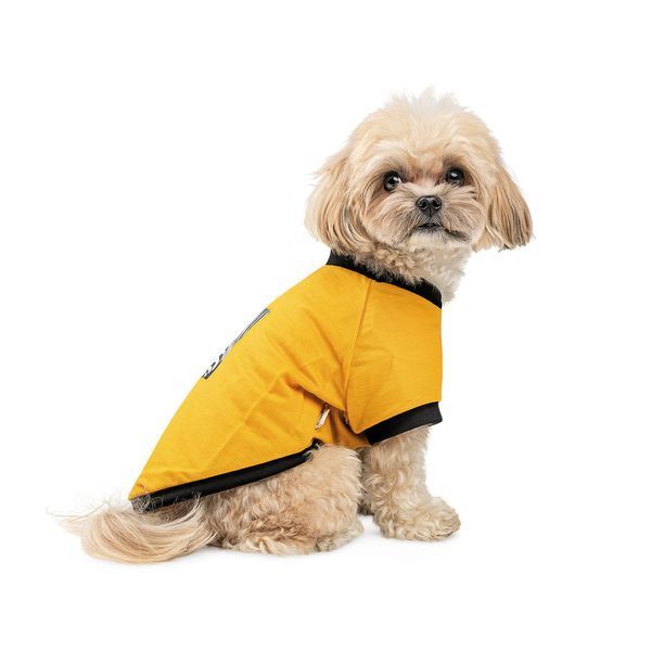 Футболка Pet Fashion Jessica для собак бавовна трикотаж жовта S 1111195194 фото