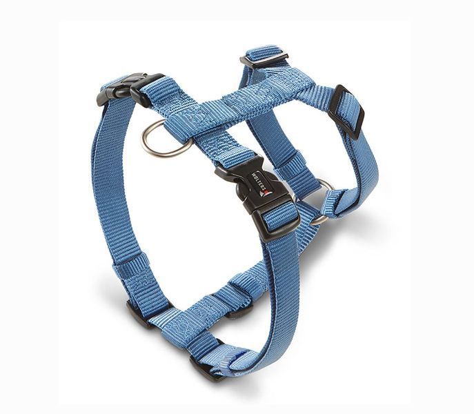 Анатомическая шлейка для собак Wolters Professional M 30-50 см / 15 мм Синий 28133 фото