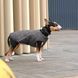 Жилет Pet Fashion E.Vest для собак сірий XS-2 1111166441 фото 3