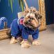 Дощовик Pet Fashion Silver для собак XS 1111171806 фото 3