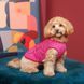 Борцівка Kale ТМ Pet Fashion для собак XХS малина 1111197895 фото 4
