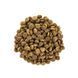 Корм сухий Brit Care Cat Grain Free Large Power Vitality для дорослих котів великих порід з качкою та куркою 2 кг 1111162373 фото 2