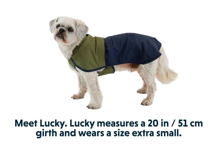 Дощовик для собак Ruffwear Sun Shower&trade; L Синьо-оливковий 30507 фото
