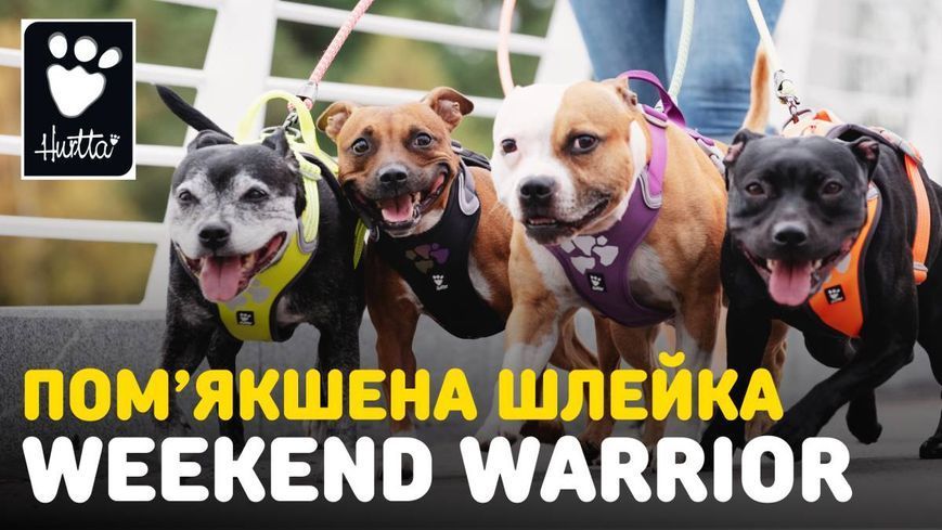 Шлейка смягченная для собак Hurtta Weekend Warrior 80-100 см Бежевый 31636 фото