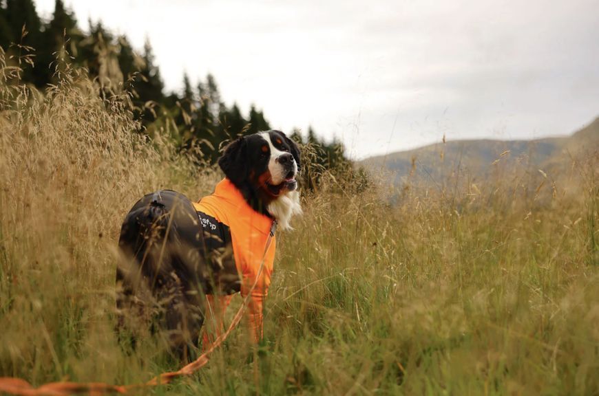 Комбінезон для собак чоловічої статі Non-stop dogwear Protector dog suit M Помаранчевий 36 41062 фото