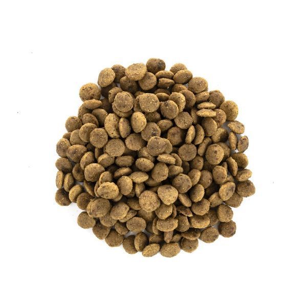 Корм сухий Brit Care Cat Grain Free Large Power Vitality для дорослих котів великих порід з качкою та куркою 400 г 1111162374 фото
