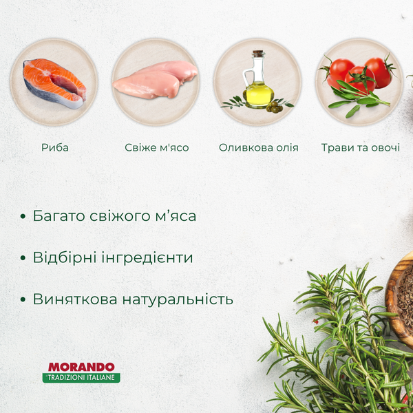 Сухий корм для стерилізованих котів Morando Tradizioni Sterilized з лососем 1,5 kg 02771 фото