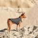 Жилет Pet Fashion E.Vest для собак сірий XS 1111166442 фото 5