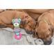 Іграшка Trixie Junior для собак Ведмідь з кільцем та звуком поліестер/пластик 23 см 1111170352 фото 3