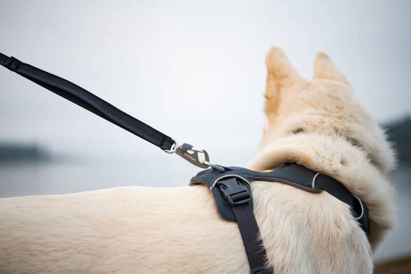 Повседневный поводок для собак Ruffwear Front Range&trade; Серый 30904 фото