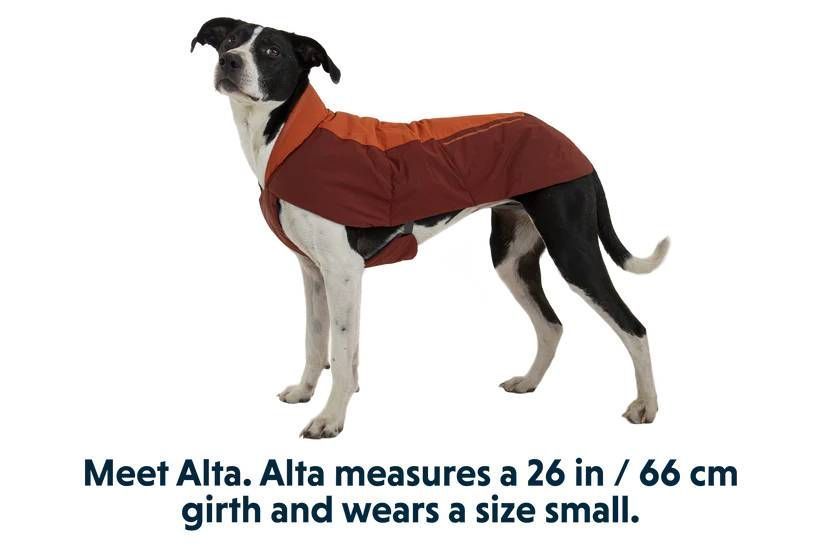 Водонепроникна куртка для собак Ruffwear Vert&trade; XS Помаранчевий 30558 фото