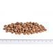 Корм сухий Brit Grain Free VetDiet Cat Struvite для котів з сечокам яною хворобою з куркою та горохом 2 кг 1111152745 фото 4