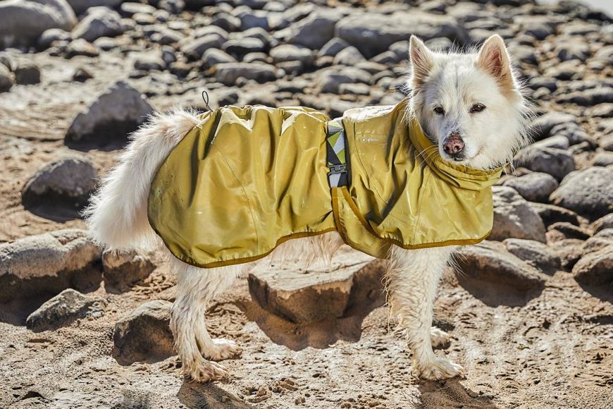 Рефлекторний дощовик для собак Hurtta Mudventure Reflective Coat 65 Жовтий 31410 фото