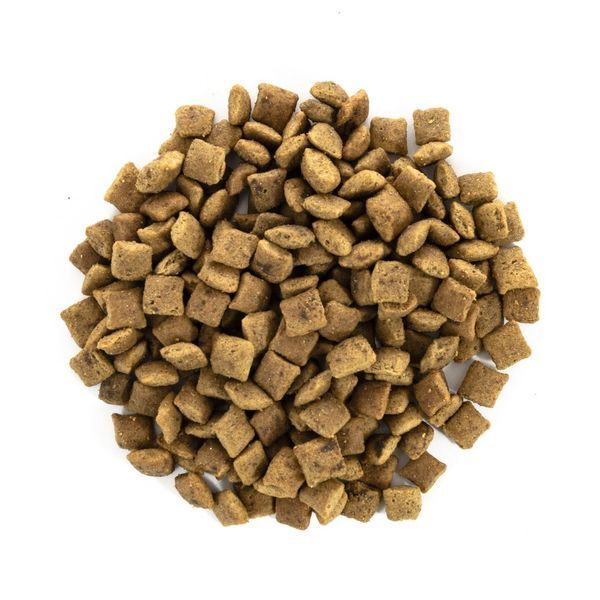 Корм сухий Brit Care Cat Grain Free Senior Weight Control для котів похилого віку з надмірною вагою з куркою 2 кг 1111162376 фото