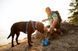 Повсякденний повідець для собак Ruffwear Front Range&trade; Блакитно-синій 30906 фото 18