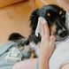 Бамбуковые салфетки для очищения слезных дорожек собак Beco Pets Dog Eye Wipes 70 шт. 45571 фото 3