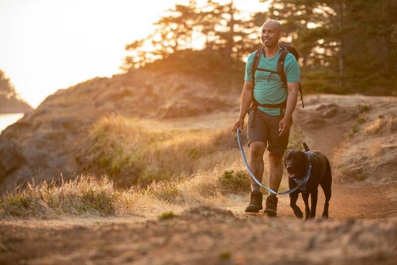 Повсякденний повідець для собак Ruffwear Front Range&trade; Блакитно-синій 30906 фото
