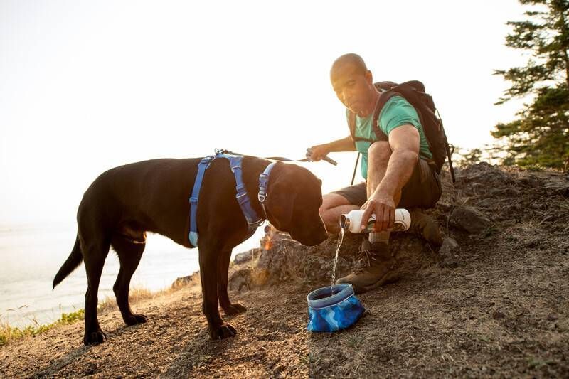 Повседневный ошейник для собак Ruffwear Front Range&trade; 36-51 см Голубо-синий 30660 фото