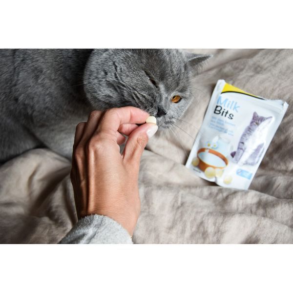 Вітаміни GimCat таблетки Every Day для котів усіх порід з молоком 40г 1111160187 фото