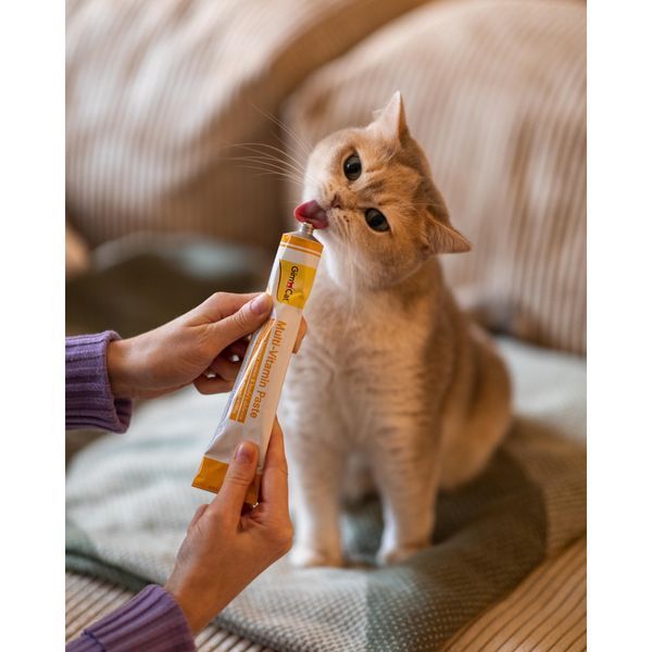 Вітаміни GimCat Every Day мультивітамінна паста для котів для покращення імунітета 200 г 1111152119 фото