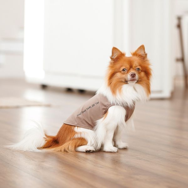 Борцівка Kale ТМ Pet Fashion для собак XS коричнева 1111197899 фото