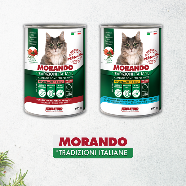 Консерви для котів Morando Tradizioni шматочки у соусі з яловичиною 405 g 02776 фото