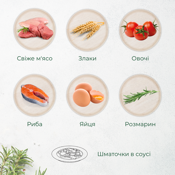 Консерви для котів Morando Tradizioni шматочки у соусі з яловичиною 405 g 02776 фото