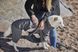 Утепленный комбинезон для собак Hurtta Midlayer Overall 35M Серый 31446 фото 7