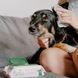 Бамбуковые салфетки для очищения ушек собак Beco Pets Dog Ear Wipes 70 шт. 45572 фото 3