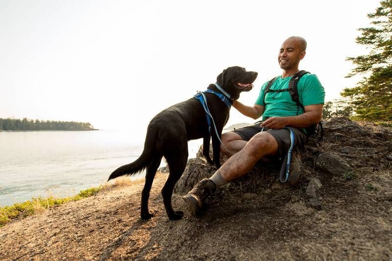 Повседневный ошейник для собак Ruffwear Front Range&trade; 51-66 см Голубо-синий 30661 фото