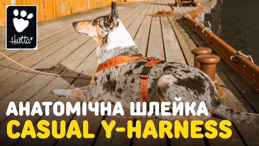 Анатомічна шлейка для собак Hurtta Casual Y-harness 45-55 Чорний 31640 фото