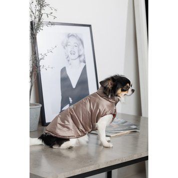 Жилет Pet Fashion Hardy для собак утеплений водонепроникний з отвором для повідця бежевий розмір S 1111182495 фото