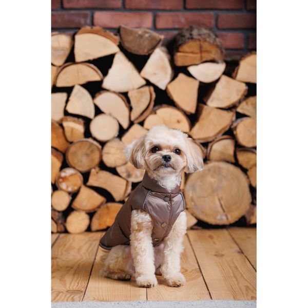 Жилет Pet Fashion Hardy для собак утеплений водонепроникний з отвором для повідця бежевий розмір S 1111182495 фото