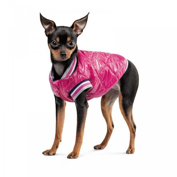 Бомбер Pet Fashion Grace для собак S 1111171986 фото