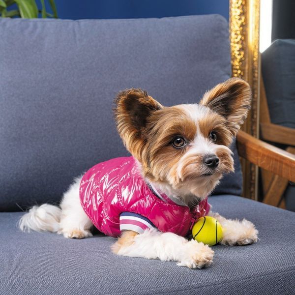 Бомбер Pet Fashion Grace для собак S 1111171986 фото