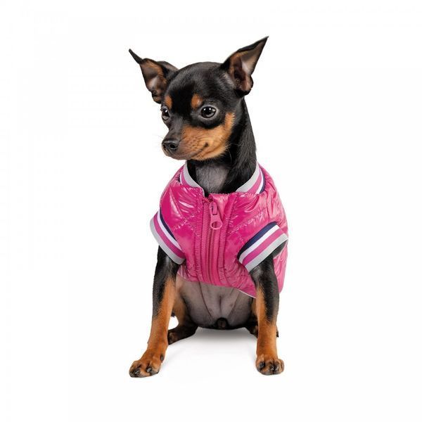 Бомбер Pet Fashion Grace для собак S 1111171986 фото