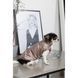 Жилет Pet Fashion Hardy для собак утеплений водонепроникний з отвором для повідця бежевий розмір S 1111182495 фото 1