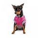 Бомбер Pet Fashion Grace для собак S 1111171986 фото 3