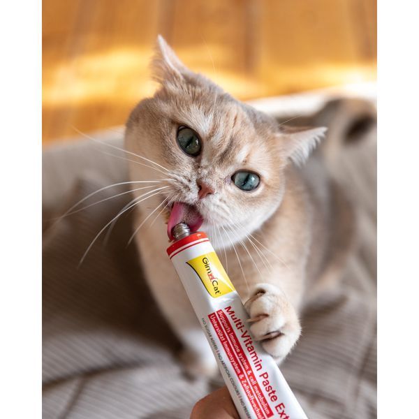 Вітаміни GimCat Every Day Extra мультивітамінна паста для котів для покращення імунітета 100 г 1111152120 фото