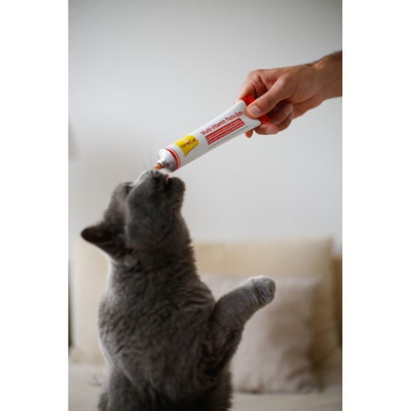 Вітаміни GimCat Every Day Extra мультивітамінна паста для котів для покращення імунітета 100 г 1111152120 фото