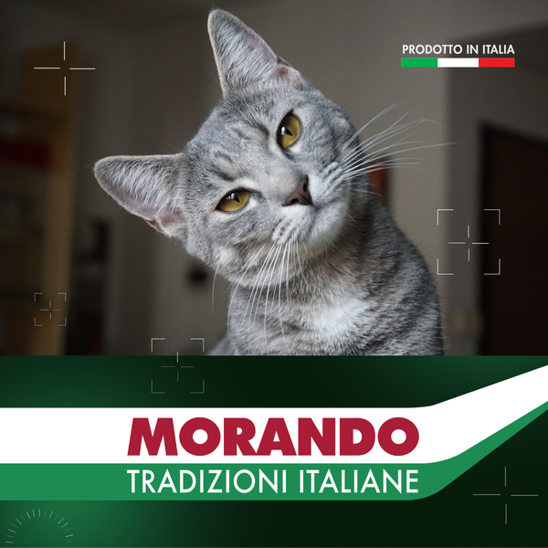 Консерви для котів Morando Tradizioni шматочки у соусі з тунцем, томатами та стручковою квасолею 405 g 02777 фото