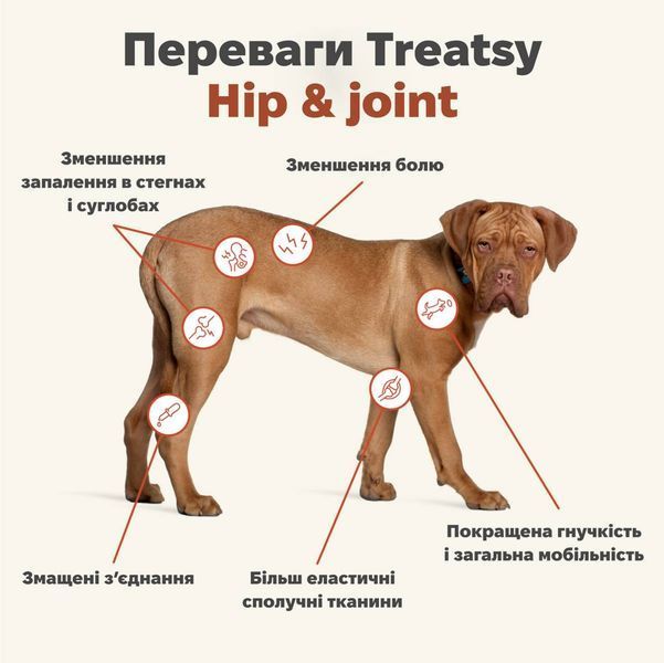 Вітамінний комплекс для м'язів та зв'язок собак Treatsy Hip & Joint 180 г 60 шт 32742 фото
