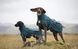 Дощовик для собак Non-stop dogwear Fjord lined Зелений 45 41327 фото 2