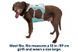 Охолоджувальна шлейка для собак Ruffwear Swamp Cooler&trade; XS 43-56 см Зелений 30858 фото 16