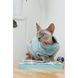 Светр для кота Tim S 1111181944 фото 6