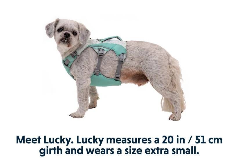 Охолоджувальна шлейка для собак Ruffwear Swamp Cooler&trade; XS 43-56 см Зелений 30858 фото