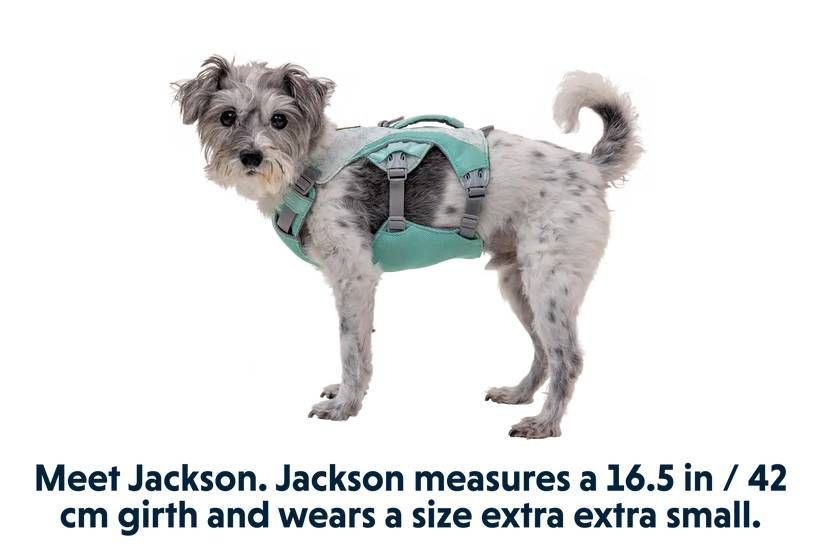 Охолоджувальна шлейка для собак Ruffwear Swamp Cooler&trade; XS 43-56 см Зелений 30858 фото